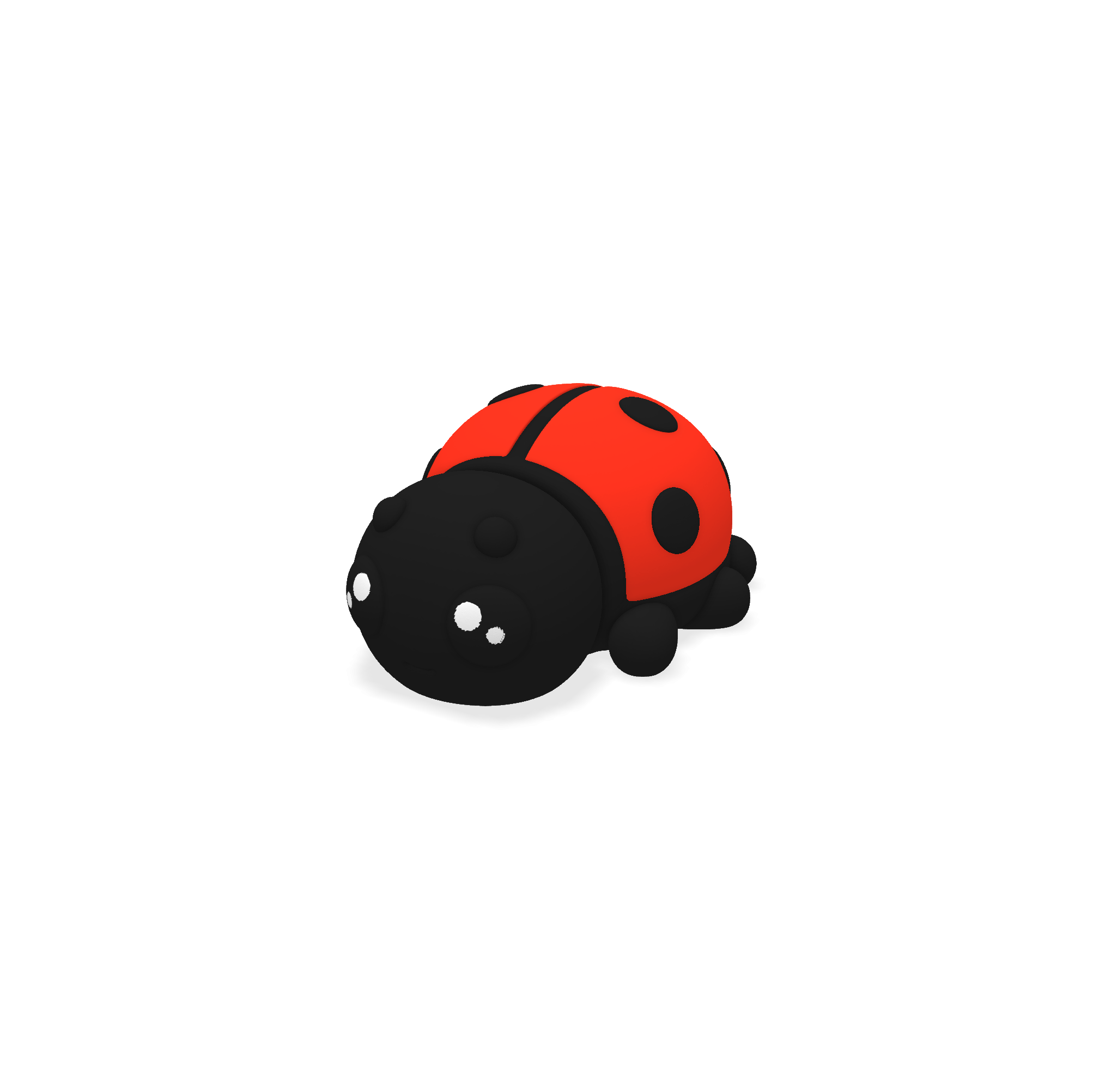 Coccinelle