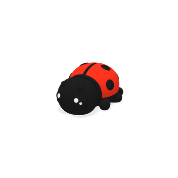 Coccinelle