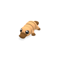Ornithorynque