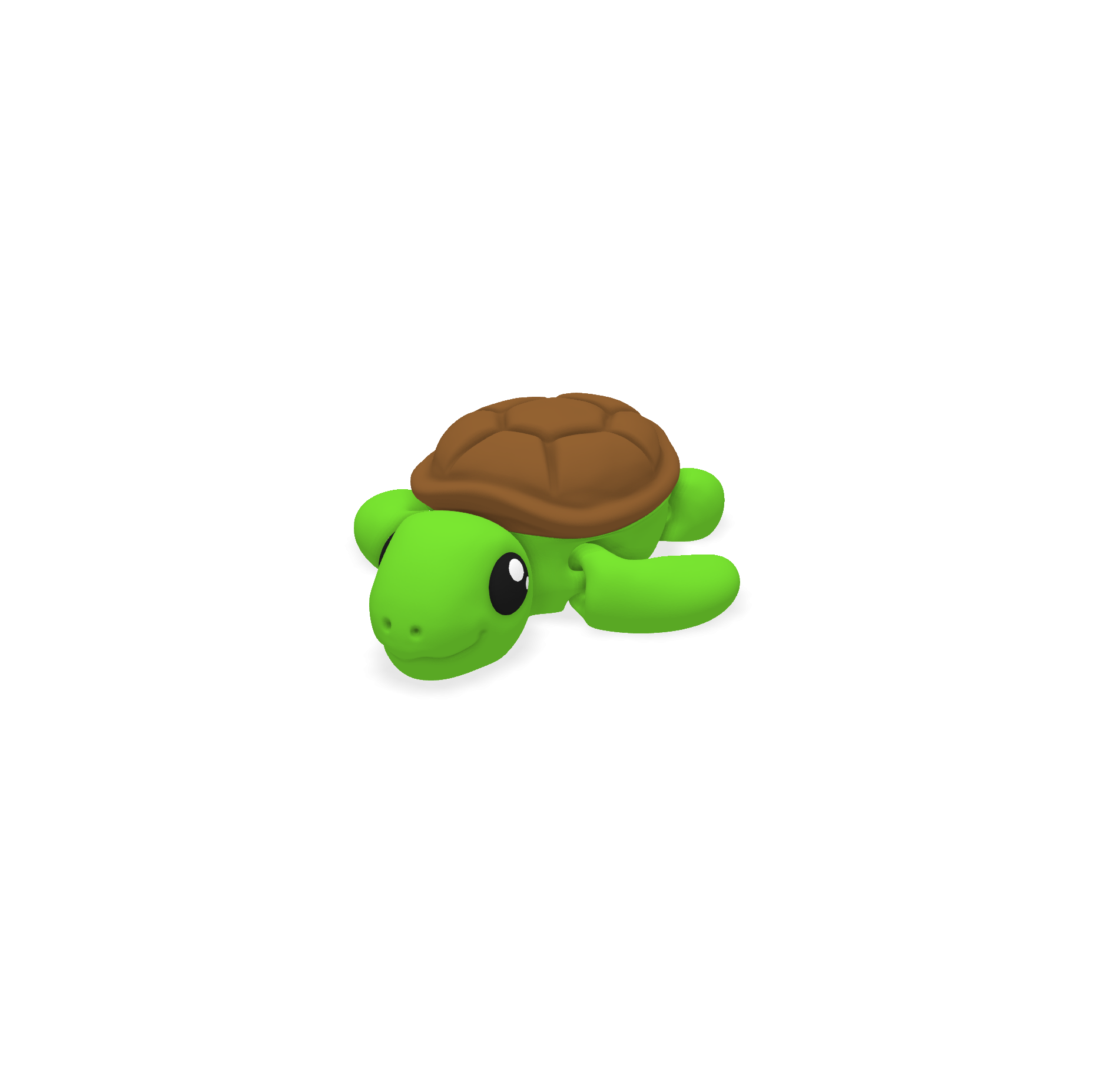 Tortue